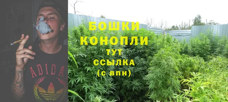 Конопля White Widow  купить наркоту  Балахна 